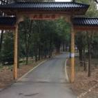 标房